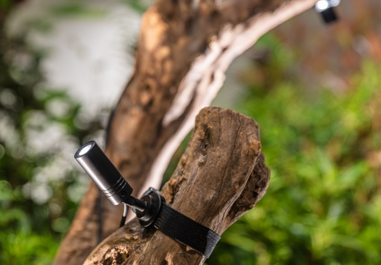 Fuorisalone 2024: Una foresta urbana a Milano