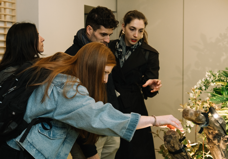 Fuorisalone 2024: Una foresta urbana a Milano