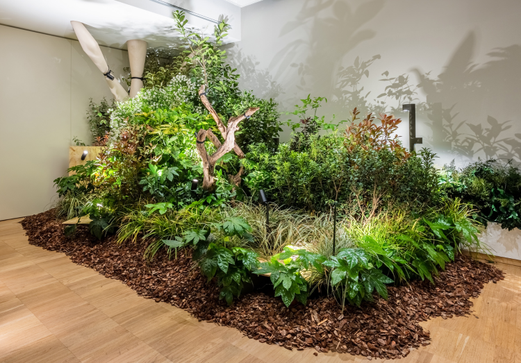 Fuorisalone 2024: Una foresta urbana a Milano